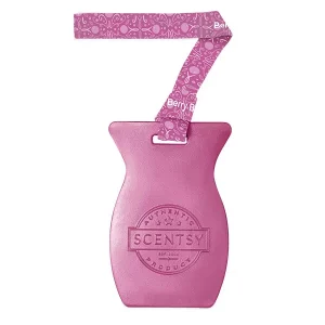 Berry Blessed Scentsy Car Bar