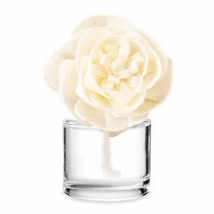 Cozy Cardigan – Buttercup Belle Fragrance Flower