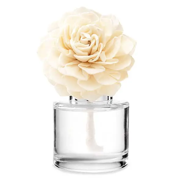 Cozy Cardigan – Dahlia Darling Fragrance Flower