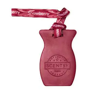 Scentsy Car Bar Snowberry
