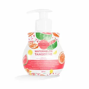 Watermelon Tangerine Scentsy Hand Soap