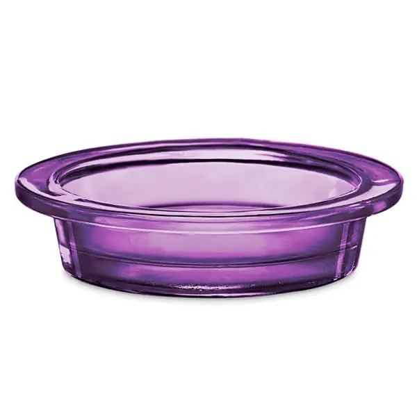 Wings Scentsy DISH ONLY