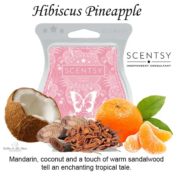 Hibiscus Pineapple