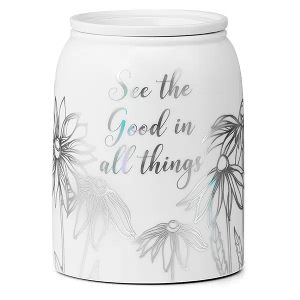 See the Good Scentsy Warmer Off