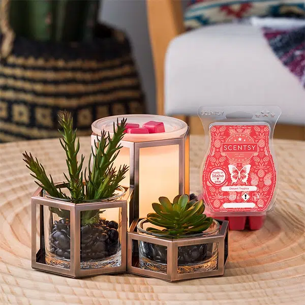 Wild Desert Scentsy Warmer With Wax Styled