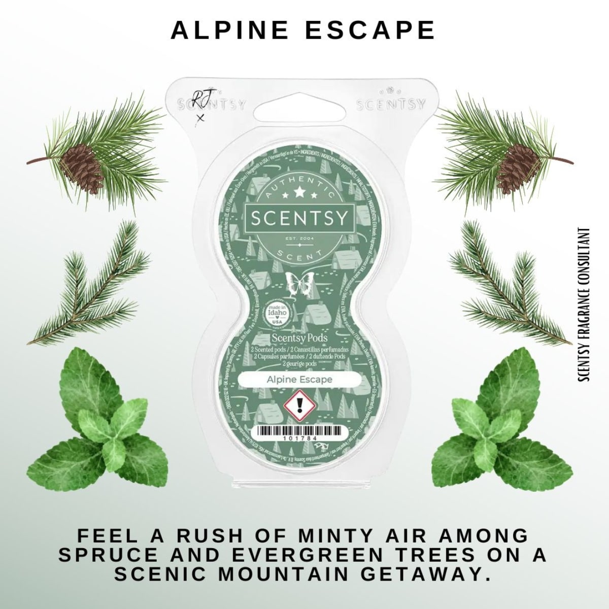 Alpine Escape Scentsy Pods - Twin Pack - Image 2