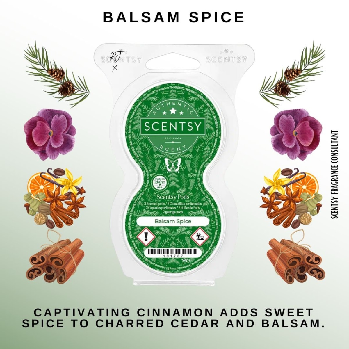 Balsam Spice Scentsy Pods - Twin Pack - Image 2