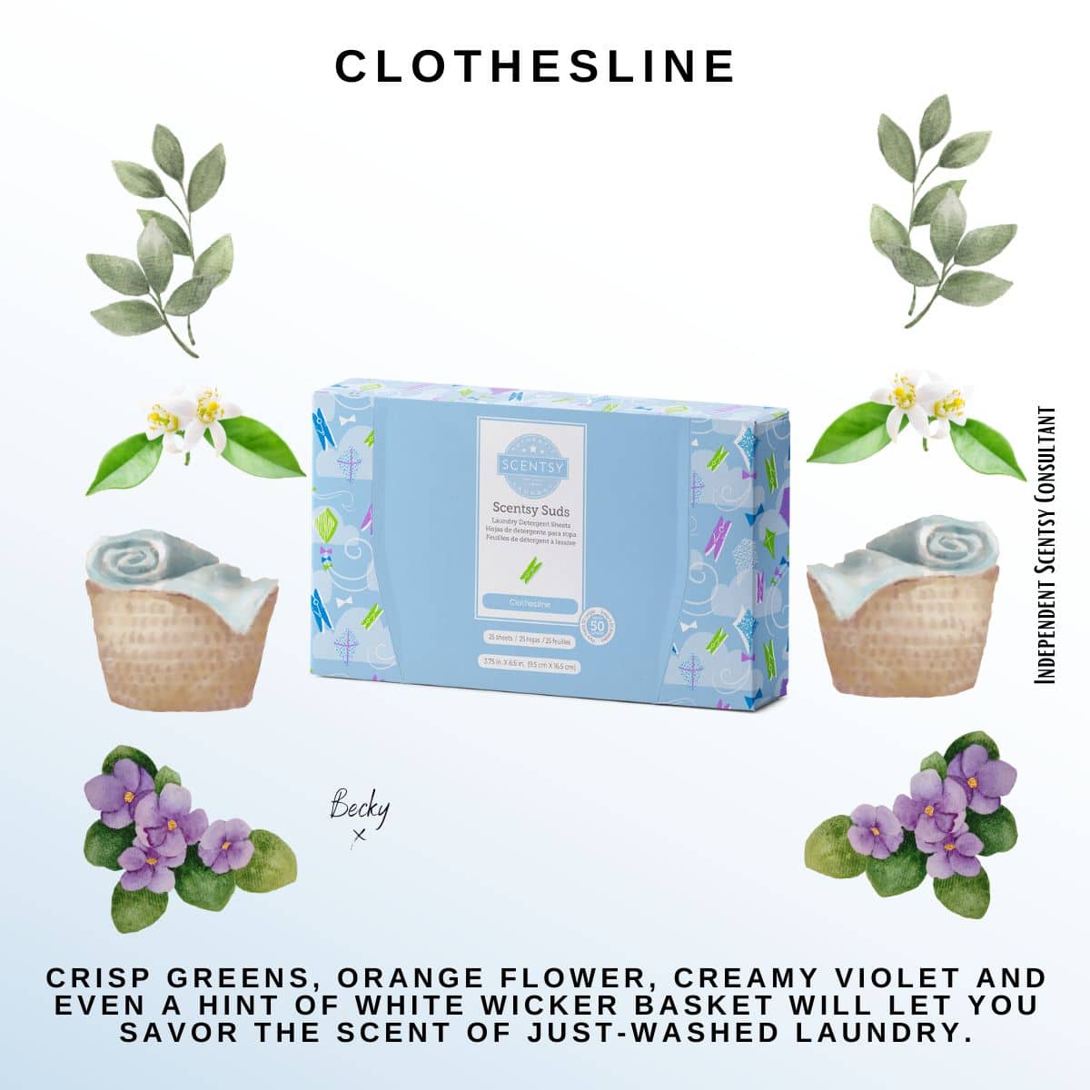 Clothesline Scentsy Suds - Image 2