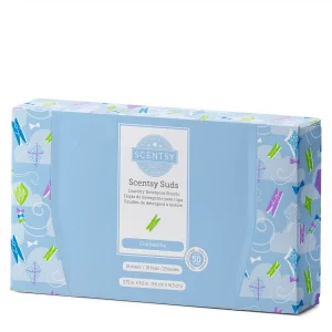 Clothesline Scentsy Suds