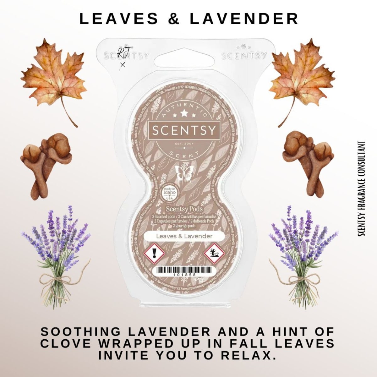 Leaves & Lavender Scentsy Pods - Twin Pack - Image 2