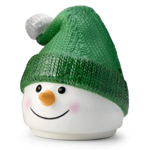 Looks Like Snow replacement lid