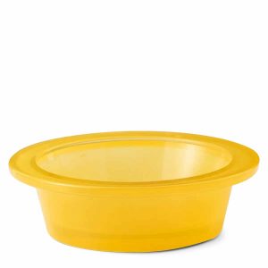 Share a Smile replacement dish